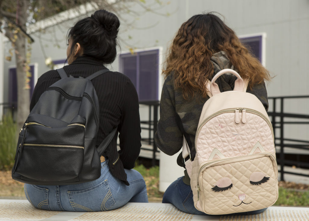 ‘Students are scared’: Border Patrol raids fuel fear in schools