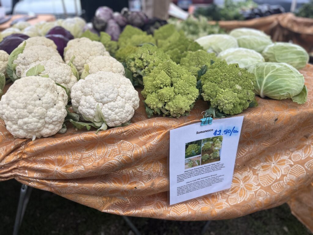 Farmers markets in this school district provide access to healthy food options