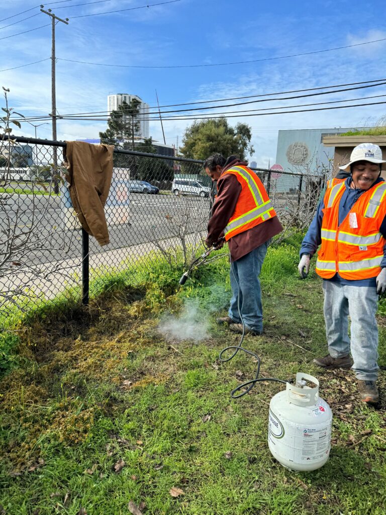 California’s Youth Job Corps offers a second chance at career, higher education