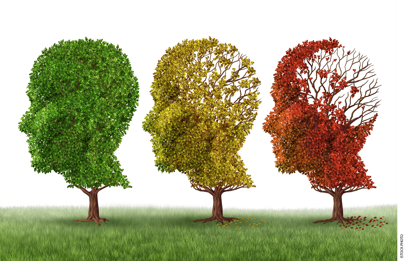 The Science of Memory Goes to School