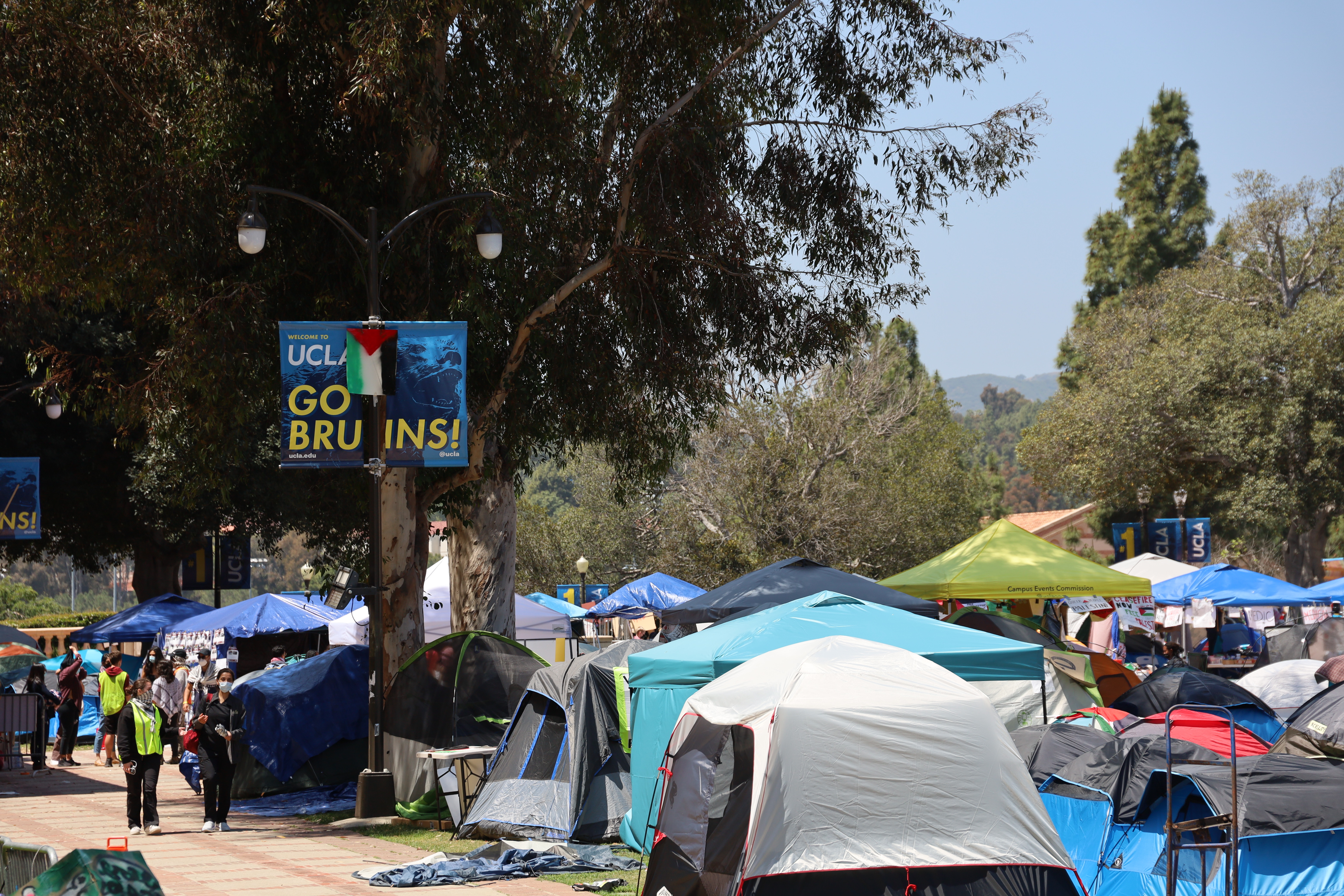 Cal State, University of California ban encampments, impose protest rules