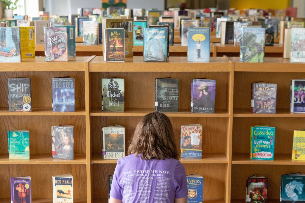 Southern states boost early reading, but gains stall in middle school