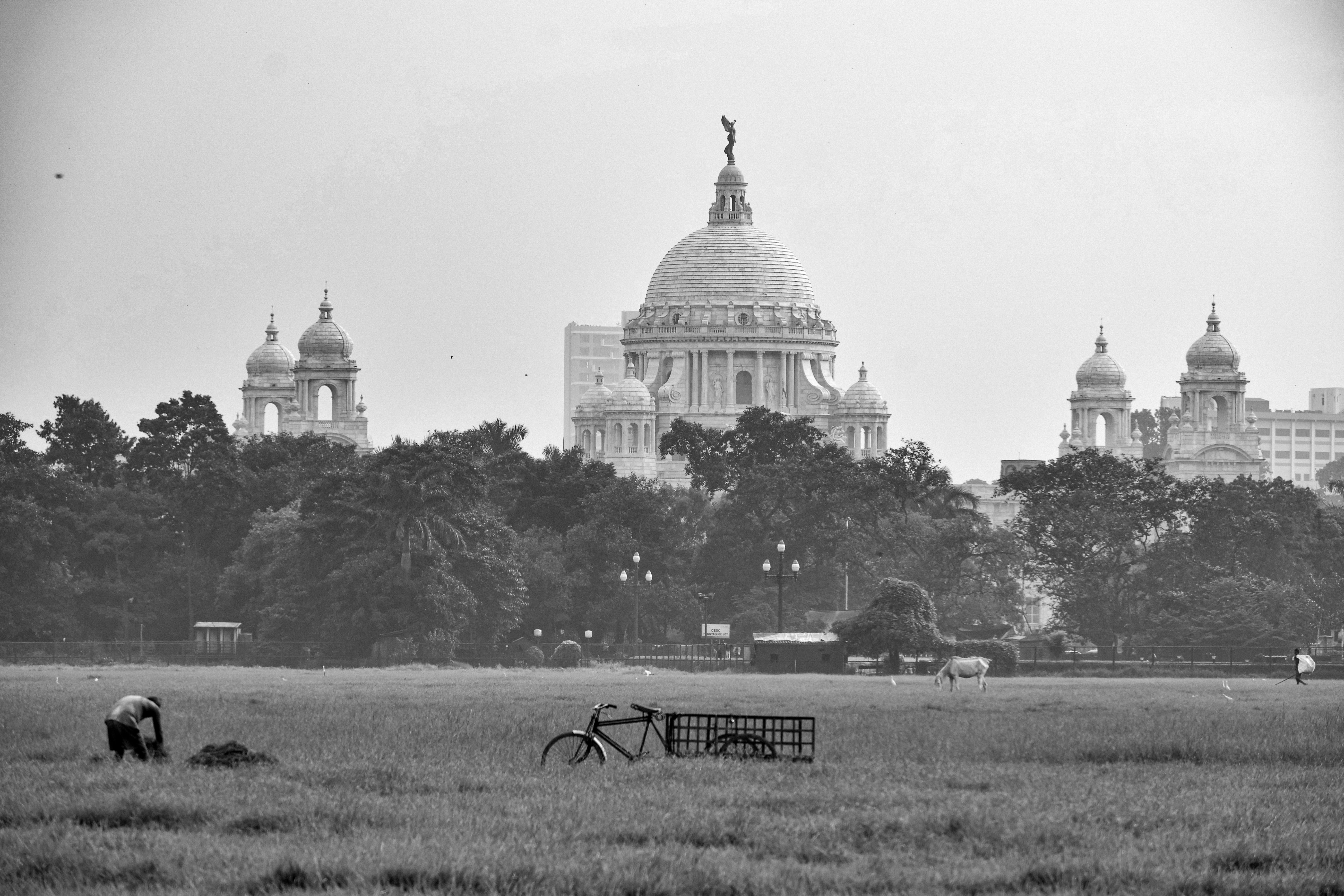 What do history PhD candidates do? This one’s researching Calcutta’s forgotten but deadliest plague