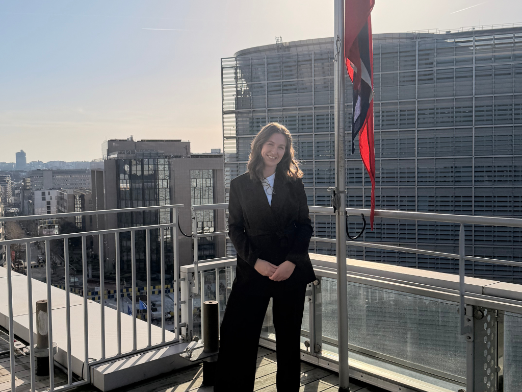 Everything you need to know about pursuing a PhD and a career in international relations