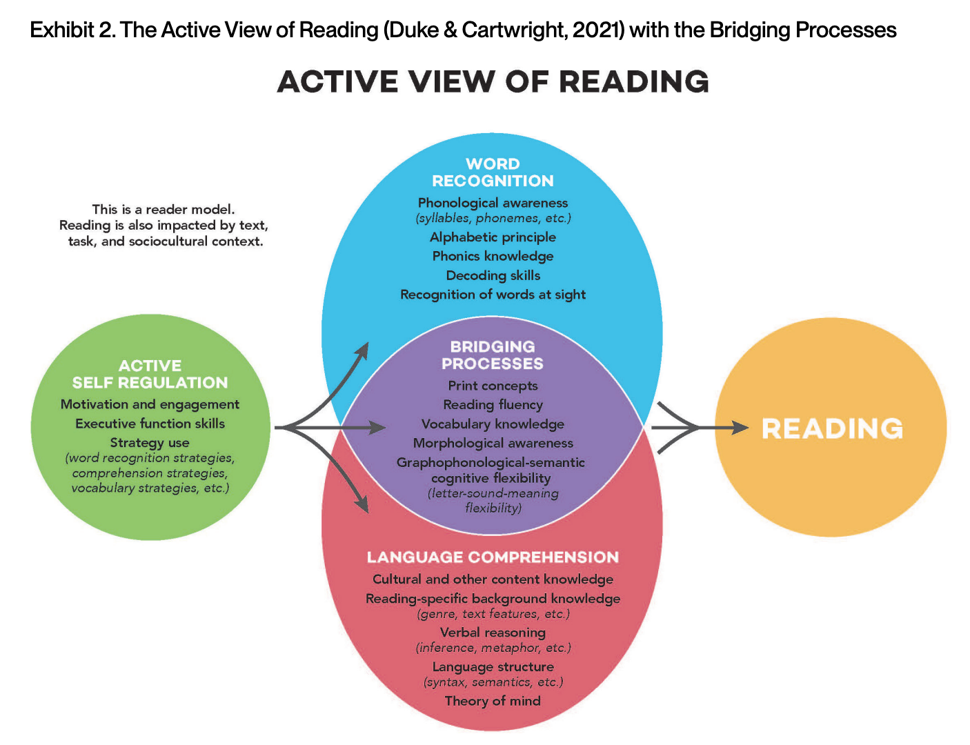 Opinion: Decoding Is Not Enough: Connecting Word Reading to Meaning in Early Literacy