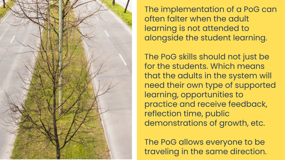 Living the Portrait Together: The Power of Parallel Pedagogy