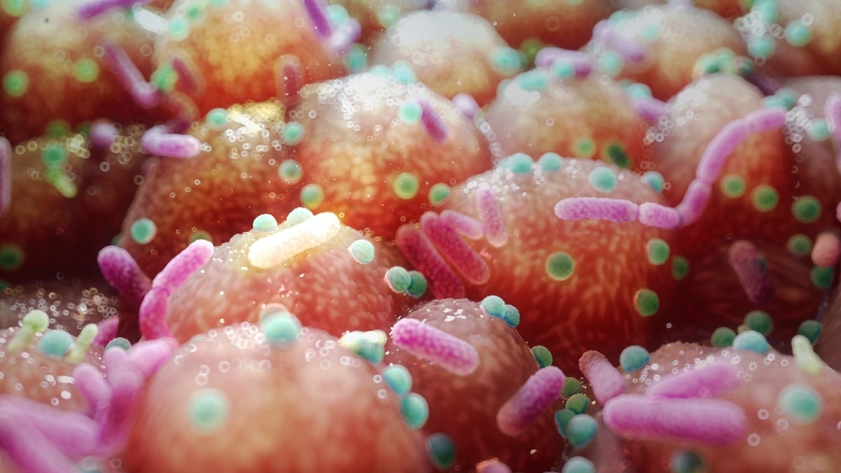 A Common Gut Microbe May Help Prevent Weight Regain, Study Finds