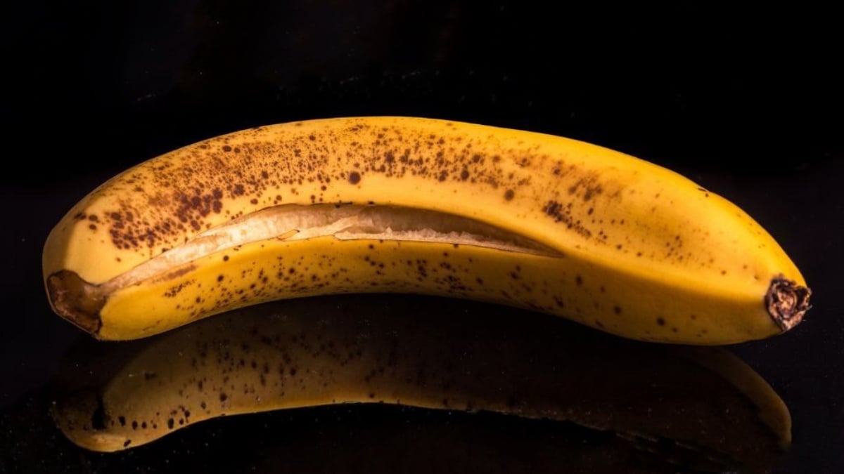 The 4 Key Signs You Should Chuck Old Food, According to Science