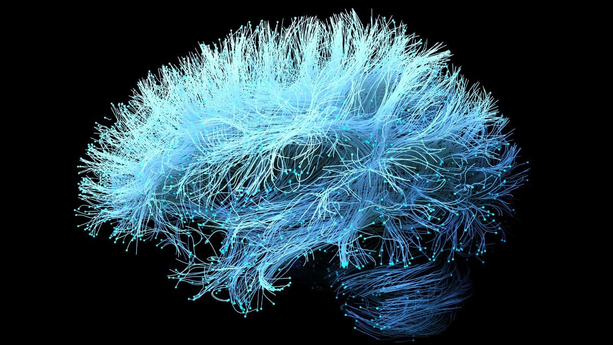 A Supplement For Joint Pain Could Accelerate Alzheimer's Memory Loss
