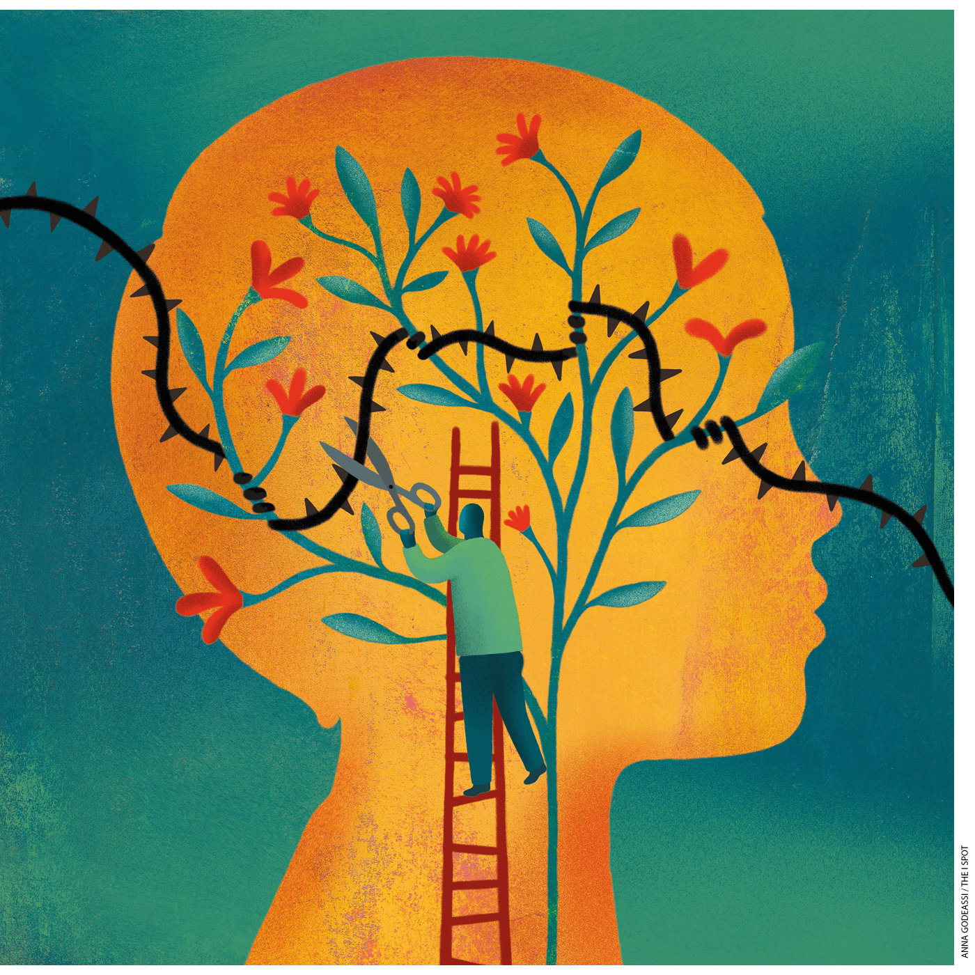 How a Gifted Program Impacts Disadvantaged Students