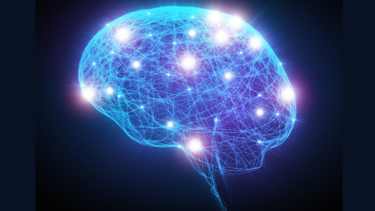 Consciousness Could Exist in Bodies Nothing Like Ours, Researchers Say