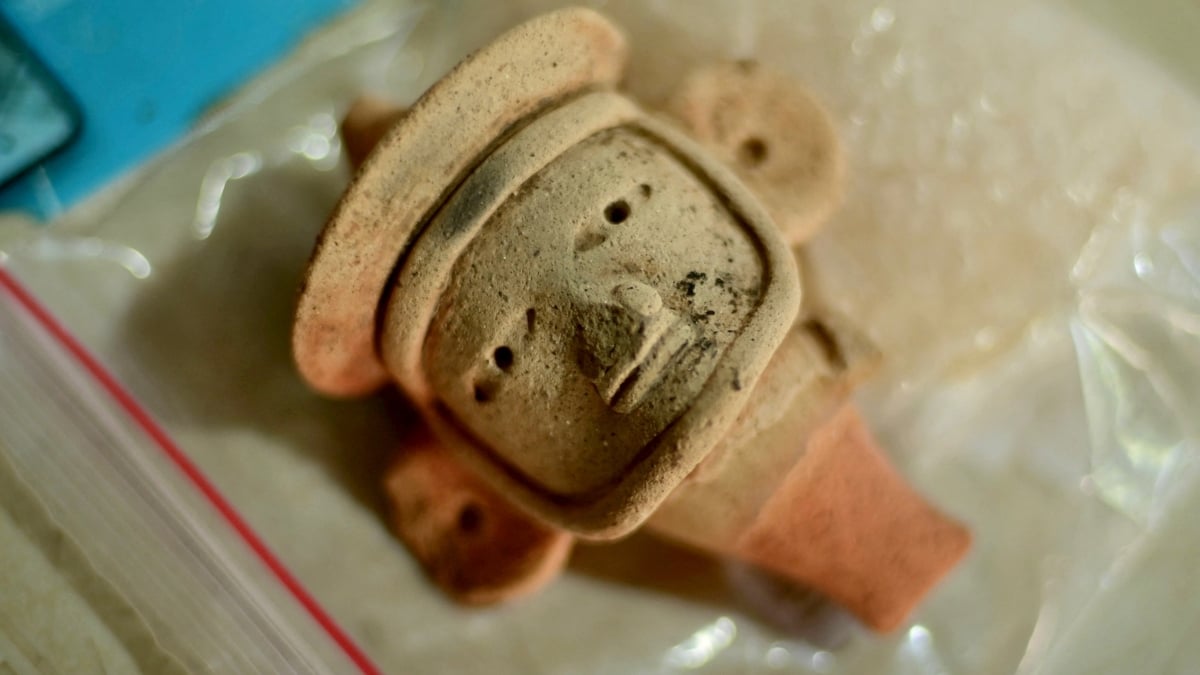 Ancient Ruins Found in Mexico Have 'Never Before Seen' Features