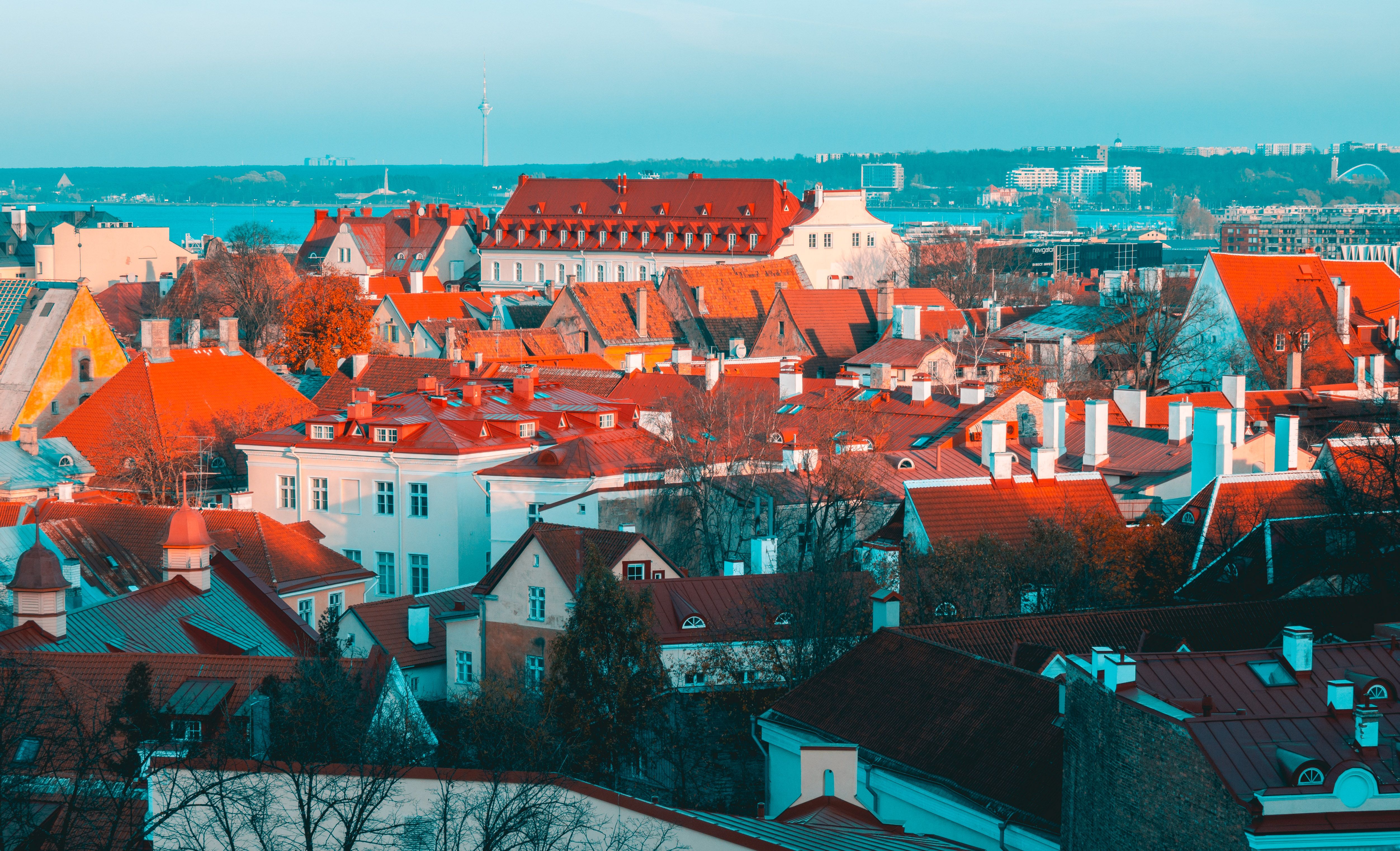 10 universities in Estonia for international students on a budget