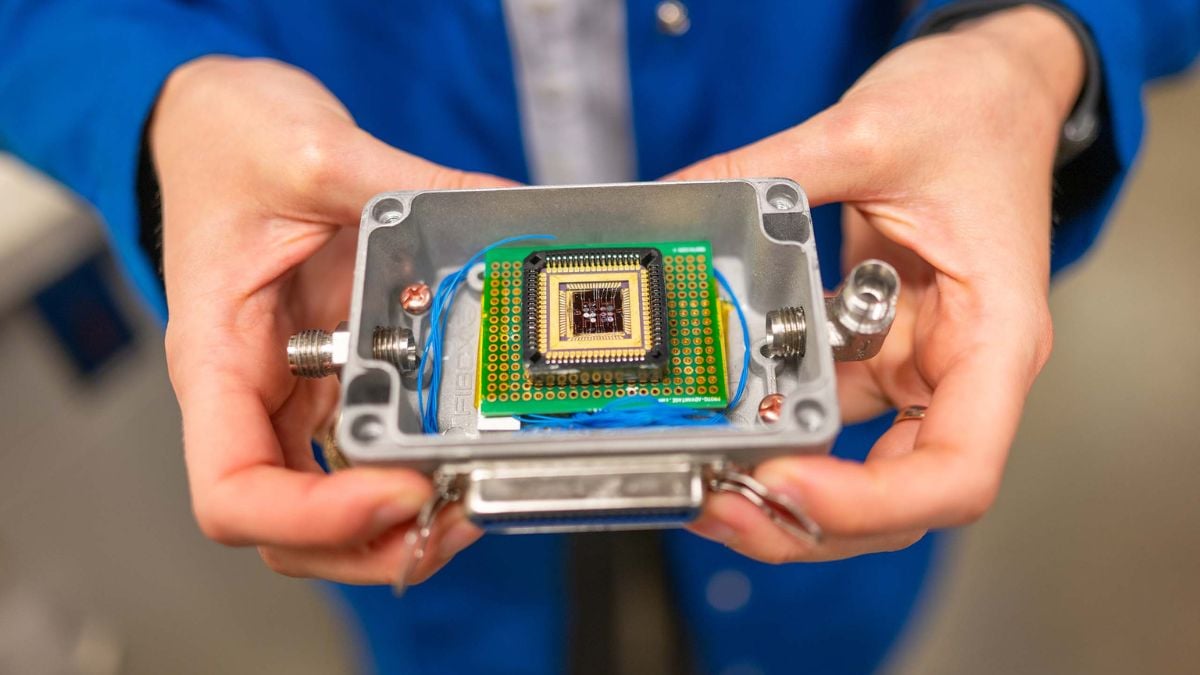 Tiny Device Developed in Berkeley Could Help Save Millions From Food Poisoning