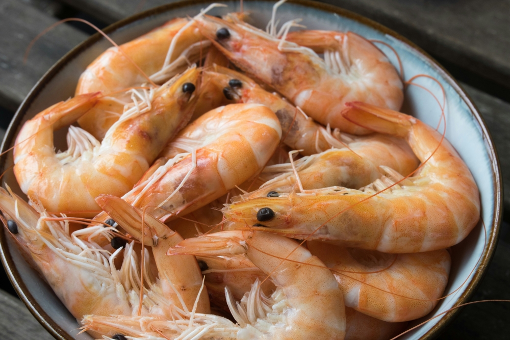 Malaysia keeps prawn ban: DOF says 30‑day assessment needed once Thai documents complete