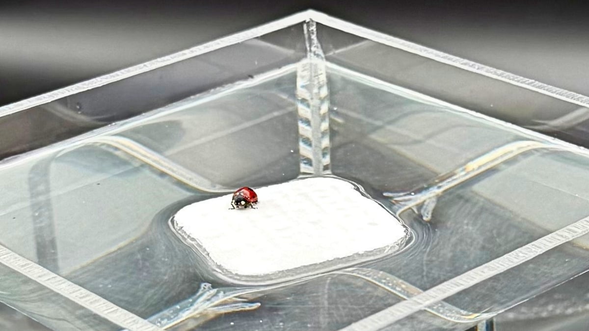 Scientists Create a 'Breathable' Hydrogel Inspired by Human Lungs